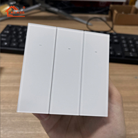 Interruptor Inteligente para Hotel en el Reino Unido, con WiFi y ZigBee, Panel de Vidrio AG, 1 Canal, 1 Vía, Interruptor Táctil de Pared para Luz, Enchufe Inteligente de 10A, Certificado CEC