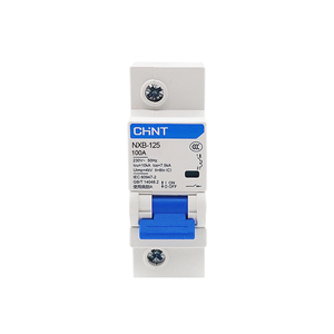 NXB-125 à courant élevé 63-125A 1P 10kA disjoncteur Miniature MCB interrupteur d'air, capacité de rupture élevée, montage sur Rail DIN, - Product Image 2