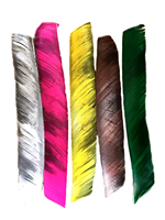 Véritable aile naturelle tir à l'arc flèche plume empennage aubes plume de dinde pour bricolage tir à l'arc chasse cible tir flèche accessoire