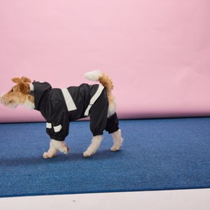 Impermeable de Lujo para Perros, Chaqueta Cortavientos Reflectante de Nailon para Chihuahua, Bulldog Francés, Ropa de Invierno - Product Image 4