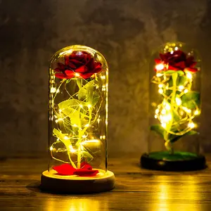 Memikat LED Galaxy Mawar Abadi 24K Bunga Foil Emas dengan Lampu Tali Peri Di Kubah untuk Hadiah Hari Valentine Natal