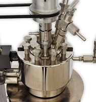 Autoclaves de Laboratorio con Cierre de Anillo de Presión de Liberación Rápida