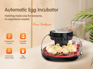 HHD ตู้อบไข่อัตโนมัติ12ช่อง M12H 12ฟองตู้ฟักไข่ไก่นกยูง - Product Image 5