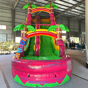 Tobogán Acuático Inflable de PVC de Grado Comercial, Color Rosa Personalizado, <span class=keywords><strong>con</strong></span> <span class=keywords><strong>Piscina</strong></span>, Castillo Hinchable y Zona de Saltos - Product Image 3