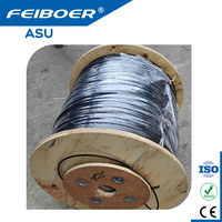 Harga Pabrik Kabel Optik Mini Adss 24 Hilos Core 652d 6wire Reel Mini Adss 4 Kilometer Mini Adss Asu Fiber Cable Aerial Cable