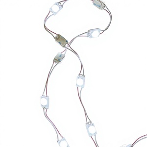 Échantillon Gratuit Module LED SMD2835 Ignifuge DC12V 0.48W IP68 Ra80 CRI Garantie 5 Ans Rétroéclairage pour Enseignes de Centres Commerciaux et Hôtels CE - Product Image 4