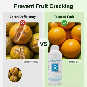 organique de bore de Calcium liquide organique de haute qualité <span class=keywords><strong>Engrais</strong></span> <span class=keywords><strong>soluble</strong></span> dans l'eau <span class=keywords><strong>Engrais</strong></span> de bore de Calcium liquide - Product Image 1