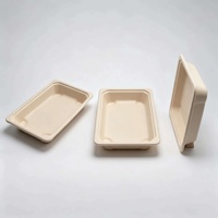 Assiette de service alimentaire en bagasse de canne à sucre, biodégradable, compostable, écologique, vaisselle jetable, solutions pour les cantines scolaires et de bureau