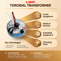 Transformateur toroïdal haute tension industriel 50W-5000W, isolation monophasée 12V-14V, enroulement en cuivre, OEM personnalisé, CE RoHS