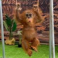 Décoration de parc jungle intérieur, singe bébé animatronique