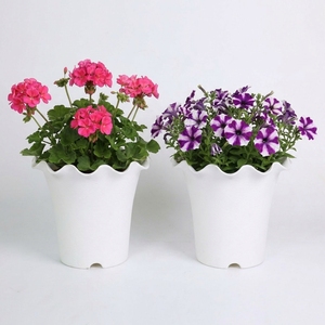 Macetas de Plástico con Borde Ondulado Elegantes al por Mayor, Macetas Blancas Mate Acanaladas para Decoración de Interiores, Hogar y Oficina, Fábrica en Vietnam, OEM - Product Image 1