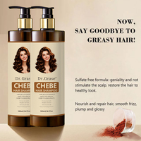 Shampoo capillaire anti-pelliculaire et anti-chute de cheveux professionnel sans sulfate biologique à étiquette privée