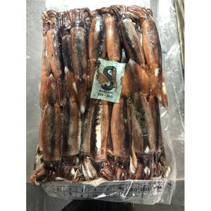 االحبار المجمدة سياحة االحبار المجمدة من الأرجنتين منتج االحبار المجمدة االحبار المجمدة الدائرية من الأرجنتين - Product Image 3