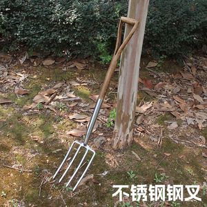 Outil de bêchage de jardin extérieur avec manche en bois, fourche agricole en acier métallique - Product Image 2