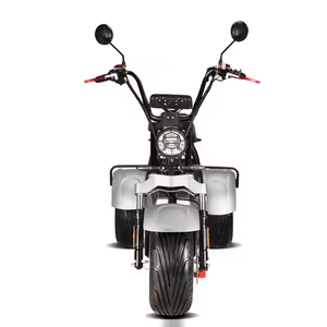 Triciclo Eléctrico Loyal de 3 Ruedas con Doble Motor, Scooter Eléctrico de 2000w 60v con Batería de 20ah, Motocicleta Eléctrica Barata Citycoco 4000w - Product Image 4