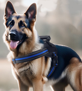 Harnes anjing hewan peliharaan Universal anjing dapat dipakai dan tahan aus aman kualitas tinggi - Product Image 5