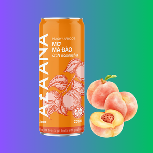 Kombucha ชาคอมบูชารสเข้มข้นสไตล์เวียดนามเครื่องดื่มแอปริคอทแบบนุ่ม - Product Image 6