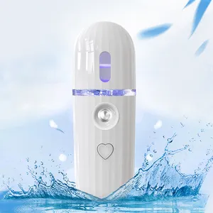 Benutzer definiertes Logo USB Handheld Gesicht Ionic Handy Beauty Mini Kleiner Luftbe feuchter Tragbarer Wasser Mister Gesichts dampfer Nano Mist Sprayer