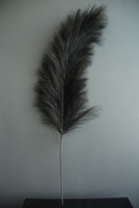 Lớn chùm lông đà điểu trắng kem màu đen giả đà điểu lông nhân tạo pampas cỏ cho tiệc cưới trang trí nhà - Product Image 3