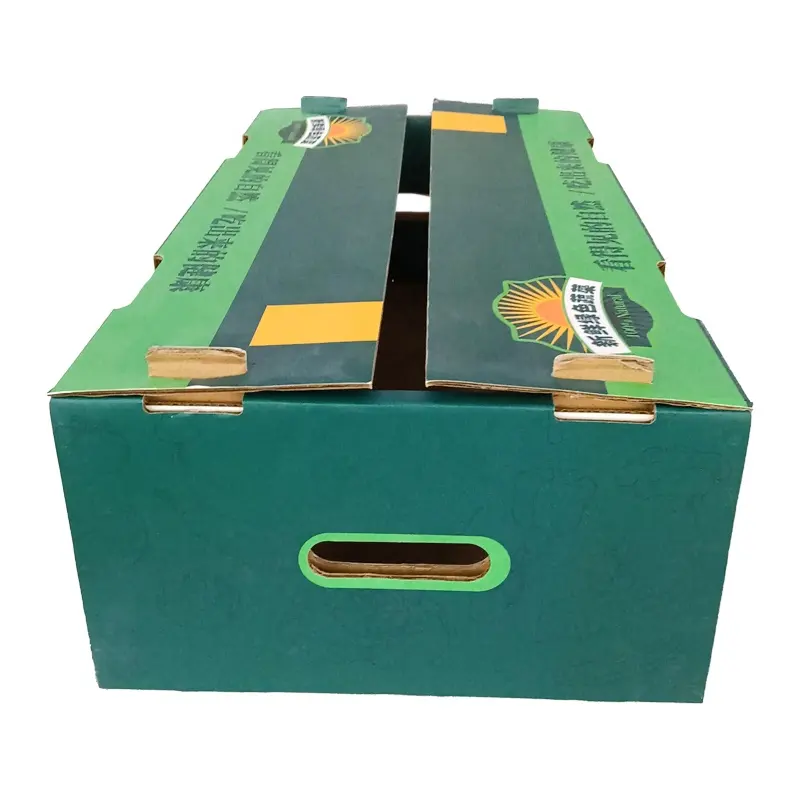 Caixa de presente para embalagem de logotipo, caixa de embalagem de frutas frescas/vegetais/lanches/nozes, com alça, embalagem de logotipo