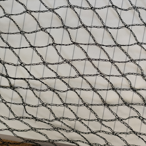 La FÁBRICA DE China suministra directamente red antipájaros de protección de nailon de Color negro anudado para campo de arroz - Product Image 4