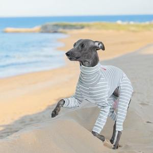 Mono personalizado de Ballet, ajustado, elástico, con rayas de calor, cuello alto, cálido, cómodo, para perros, ropa de invierno para mascotas, para <span class=keywords><strong>Galgo</strong></span> <span class=keywords><strong>Italiano</strong></span> - Product Image 4
