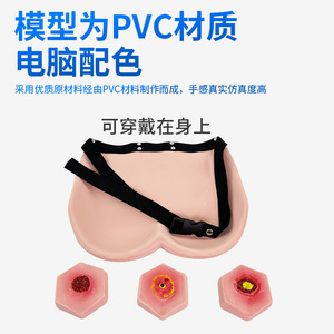 Modèle de soins des escarres à pression en plusieurs étapes, modèle pédagogique pour les soins aux personnes âgées et modèle de formation aux soins des escarres à pression en quatre étapes - Product Image 3
