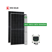 Pompe à eau solaire immergée WHC SOLAR pour puits de 4 pouces, 12V, haute pression, pompes solaires DC