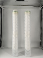 Cartouche de filtre PVDF à boîtier transparent de 20 pouces pour le traitement de l'eau