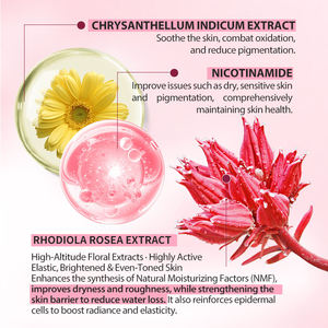 Crème Visage Éclaircissante et Hydratante au Niacinamide et Rhodiola Rosea pour Peaux Ternes et Déshydratées, Unifie le Teint, Marque Blanche OEM - Product Image 5