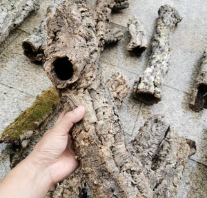 פקק פורטוגלי לאקווריומים ואביזרים עץ סחף - Product Image 5