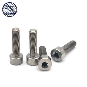 Din84 Titan gr2 rãnh đầu phô mai chống ăn mòn vít titan - Product Image 6