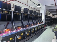 Gabinete Vertical Personalizado para Juegos de Habilidad, Marco de Pantalla Personalizado, Carcasa para Equipos de Entretenimiento que Funcionan con Monedas