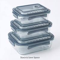 Ensemble de boîtes à lunch en verre borosilicate, hermétiques, type bento, rectangulaires, pour la préparation des repas, sans BPA, vente en gros, OEM, logo personnalisé