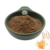 Extrait de Cordyceps Militaris de Haute Qualité 0,3% 1% 3% Cordycepine, Complément Herbal Adapté aux Formes Capsule et Comprimé