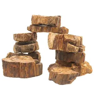 Aquatic Decorative Lava Wood Fossil Stone