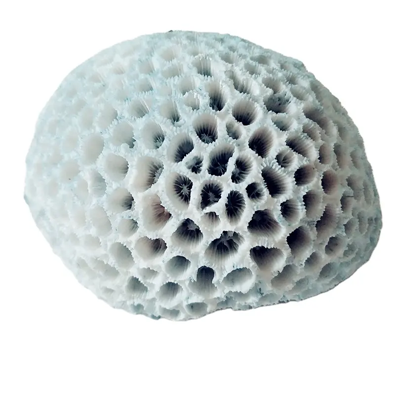 resin reef products coral artificial decoration crafts ornaments