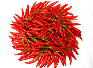 Nouvelle Annonce Prix Compétitif Huile de Piment Bio Extrait Végétal Aromatique Huile de Piment Pressée à Froid - Product Image 5