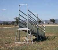 Rampe de chargement portable en acier pour camion, pour bovins, taureaux, chèvres, vente, durable, facile à déplacer et à utiliser pour la manutention du bétail