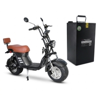 Batería de Litio HAOYANG 60V30Ah con BMS Inteligente OEM, 1000 Ciclos, para Scooter Eléctrico Citycoco Mangosteen M1S, Motocicleta Eléctrica
