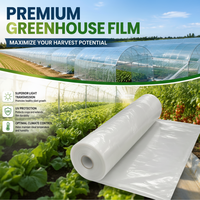 Lámina de Plástico LDPE para Invernadero, 200 Micras, Resistente a los Rayos UV, Moldeada por Extrusión y Soplado, para Cultivo de Tomates y Vegetales, para Invierno