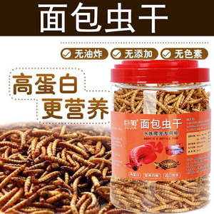 Gusanos de harina secos 300g, alimento para tortugas y peces con alto contenido proteico, snacks para reptiles y mascotas - Product Image 5