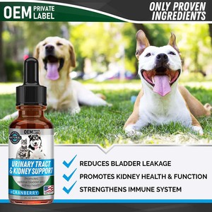 OEM ODM tetes Cranberry kandung kemih untuk anjing dan kucing saluran urin dukungan ginjal kandung kemih kekuatan Herbal suplemen anjing cairan - Product Image 4