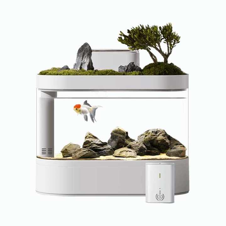 Plastik-aquarium Ökologischer Bodenfilter Fischbecken Büro-display-tisch Smart Aquarium Tank