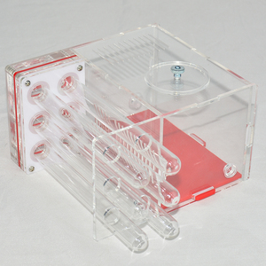 Casa para Reptiles DIY con Área de Alimentación, Hormiguero, Taller de Insectos, Hormiguero para Mascotas con 6 Tubos de Yeso, Diseño Floral de Verano de Plástico - Product Image 4