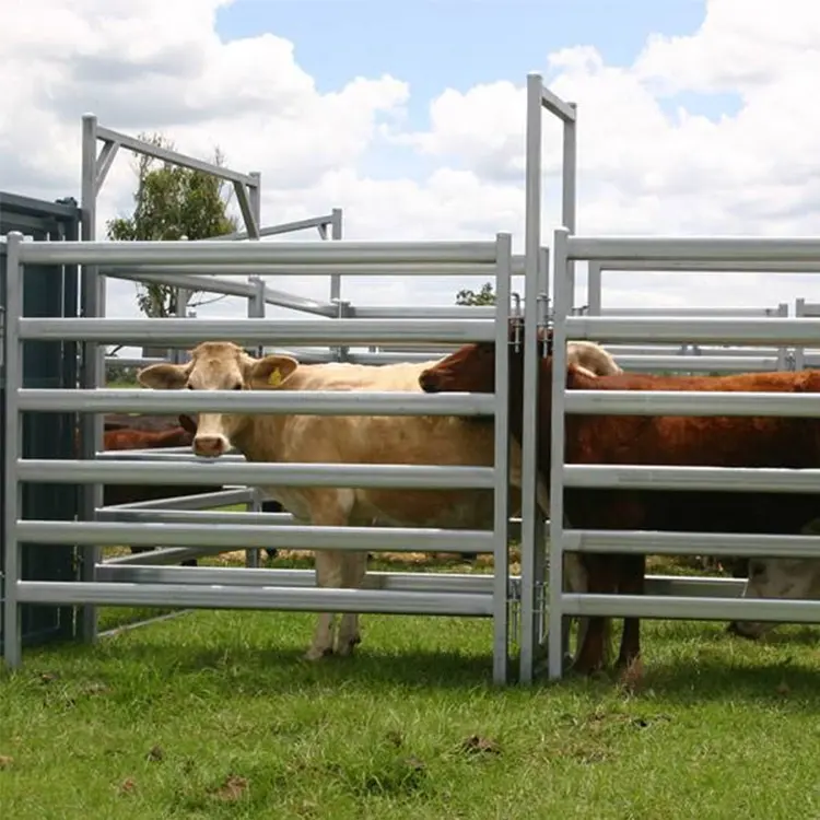 Высококачественные дешевые полевые Дворовые конные козы, овцы, загон, забор для фермы, ограждение для крупного рогатого скота