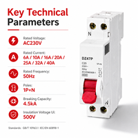 Interruptor Automático en Miniatura DZ47P MCB 1P+N 6A 10A 16A 20A 25A 32A 40A 230V AC 4.5kA Curva C D Riel DIN de 35 mm