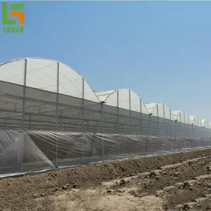 Wholesale unique modern style price agricultural plastic uv film greenhouse