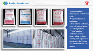 Carbonato de Calcio (CaCO3) a Nivel Nanométrico, Alta Pureza, Alta Blancura para Sellador MS - Product Image 5