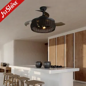 1stshine Caged Ceiling Fan Light Kit Indoor Decorative Ceiling Fan With Remote Control